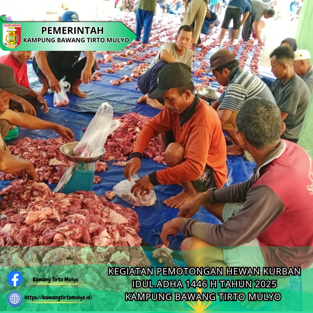 WhatsApp_Image_2025-06-08_at_10-20-44