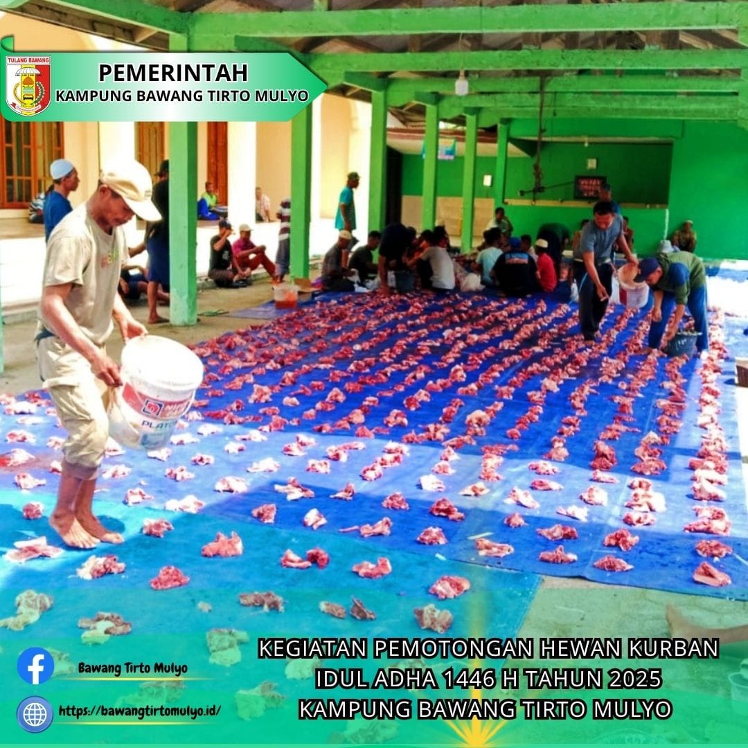 WhatsApp_Image_2025-06-08_at_10-20-44_(1)